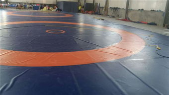 標(biāo)準(zhǔn)比賽摔跤墊子 活力體育現(xiàn)貨 中國式標(biāo)準(zhǔn)比賽摔跤墊子